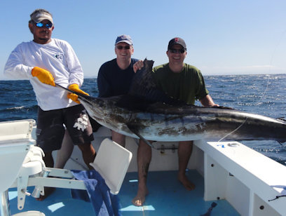 Offshore Sport Fishing 35 Foot Boat - Full Day