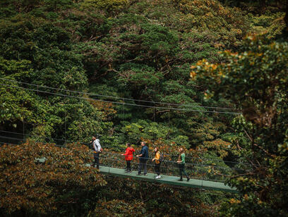 Treetopia Hanging Bridges and Cableway
