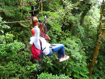 Canopy Zipline - Selvatura