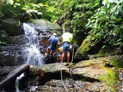 Full Day Jungle Adventure