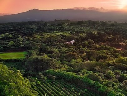 Free Day at Finca Rosa Blanca