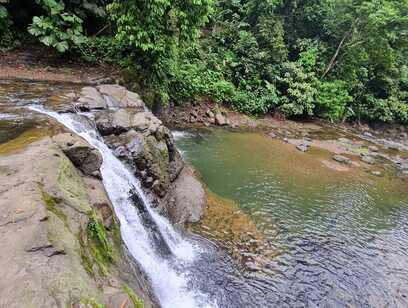 3 in 1 - Jaguar Rescue Center and Chocolate and Bri Bri Waterfall Tour