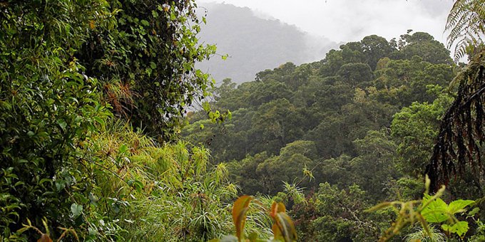 Los Quetzales Guided Hike - Savegre Moutain Hotel