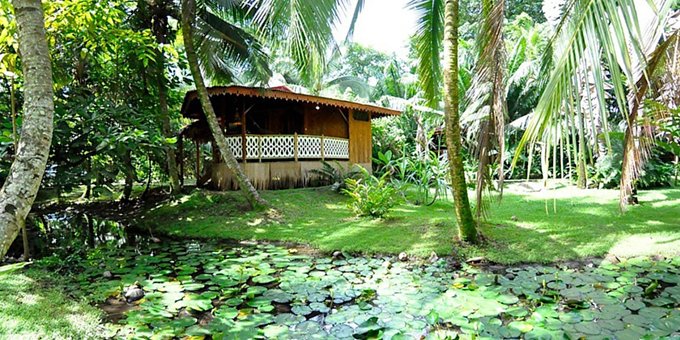 <p>La Costa de Papito in Puerto Viejo, Costa Rica, is a charming budget-friendly retreat that embodies the laid-back Caribbean spirit. Nestled amidst lush tropical gardens and steps away from the pristine sands of Playa Cocles, this eco-friendly hotel offers a unique and authentic experience. Stay in colorful and individually designed cabins or bungalows, each infused with local art and craftsmanship. Relax in hammocks on your terrace, take a refreshing dip in the nearby ocean, or wander through the enchanting gardens alive with vibrant flora and fauna. Indulge in the flavors of the Caribbean at the on-site restaurant, serving fresh and locally sourced ingredients. With its commitment to sustainability and community involvement, La Costa de Papito provides a tranquil and eco-conscious escape where guests can immerse themselves in the natural beauty and vibrant culture of Puerto Viejo. Lodge amenities include a breakfast restaurant, tropical gardens, spa and beauty salon, and WiFi in some public areas.</p>