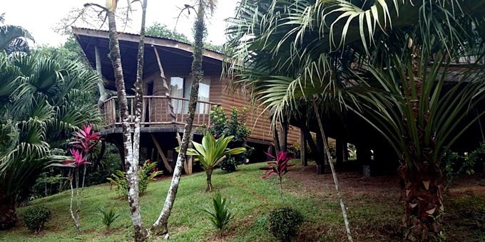 The Pedacito de Cielo Eco Lodge, on the scenic San Carlos River located near the Nicaraguan border straight north of San Jose, provides the perfect rainforest and river immersion experience for the outdoor nature enthusiast and dedicated birdwatcher. Individual bungalows overlook the river and rainforest with covered porches, artisan furniture, private bathrooms, ceiling fans, plenty of windows, mosquito netting, and porch furniture. Bird feeders plus surrounding fruit trees attract local bird species such as parrots, oropendolas, and toucans. River tours by local nature guides are available by kayak, safari boat, or motorboat, as are guided rainforest hikes, night hikes, and horseback rides. Kayaks can be rented and there are forest trails you can explore on your own. The excellent restaurant is open at specific times for breakfast, lunch, and dinner. The Ecolodge is Rainforest Alliance Verified meaning it meets international standards for preserving nature through responsible practices and supports the local culture and economy.