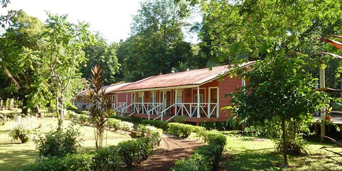 <p>Lapa Verde Caribbean Paradise Eco Lodge is an affordable ecolodge retreat nestled in the heart of Tortuguero, Costa Rica. Surrounded by lush rainforest and bordered by the canals, this eco-friendly lodge offers guests a unique opportunity to immerse themselves in nature while enjoying rustic but comfortable accommodations. The lodge features cozy cabins that blend seamlessly with the natural environment, providing a peaceful and rustic setting for relaxation. Each cabin is equipped with modern amenities and private bathrooms. The lodge's open-air restaurant serves delicious meals made from fresh local ingredients, allowing guests to savor the flavors of Costa Rican cuisine. Guests can unwind by the outdoor swimming pool, surrounded by tropical gardens and the sounds of wildlife. The lodge offers a range of eco-tours and activities, including guided hikes through the rainforest, boat tours along the Tortuguero canals to observe wildlife, and night tours to witness the nesting of sea turtles (during nesting season). With its commitment to sustainability and its breathtaking surroundings, Caribbean Paradise Eco Lodge offers a truly immersive experience in the natural beauty and biodiversity of Tortuguero. Lodge amenities include swimming pool, restaurant, bar, nature trails, coffee and tea in the lobby area, and complimentary wireless internet. Please NOTE: There is a 25-pound weight limit per person for luggage brought in by boat or by plane. All visitors to the region must pay the entrance fee to the national park, which is $17 per adult, $5 per child between the ages of 5 - 11, and free for children 4 years or less. The entrance fee must be paid in person upon arrival to Tortuguero and is not included in your stay at the lodge. Please also note that while there is a beach, it is not advised to swim there due to strong riptides.</p>
