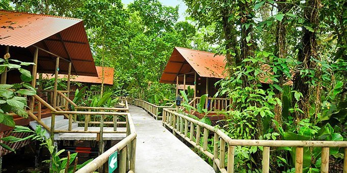 <p>Aninga Lodge is a charming eco-lodge located in the heart of Tortuguero, Costa Rica. Surrounded by lush tropical rainforests and bordered by winding canals, the lodge provides a unique and immersive experience in one of the country's most biodiverse areas. The lodge offers comfortable and spacious rooms and bungalows that are designed to blend seamlessly with the natural surroundings. Each habitation features private bathrooms, ceiling fans, and large windows that allow guests to enjoy the sights and sounds of the rainforest. The lodge's on-site restaurant serves a variety of delicious meals, including local specialties and international cuisine, prepared with fresh and locally sourced ingredients. Guests can also relax and unwind at the lodge's swimming pool or enjoy a refreshing cocktail at the bar. Aninga Lodge offers a range of exciting activities and guided tours, allowing guests to explore the unique ecosystem of Tortuguero. Boat tours along the canals provide opportunities to spot monkeys, sloths, toucans, and an array of colorful birds. Guided walks through the rainforest offer a chance to learn about the region's flora and fauna from knowledgeable local guides. Guests can also visit Tortuguero village to learn about the conservation efforts for sea turtles, for which the area is famous. With its commitment to sustainability and its stunning natural surroundings, Aninga Lodge offers a memorable and eco-friendly stay for nature lovers and adventure seekers. Lodge amenities include a full-day restaurant, well-equipped bar, inviting swimming pool, refreshing Spa (price not included in the tour), as well as Wifi around the premises. 2-night minimum stay. National Park entrance fee is not included and must be paid directly to the lodge. Please NOTE: There is a 25-pound weight limit per person for luggage brought in by boat or by plane. All visitors to the region must pay the entrance fee to the national park, which is $17 per adult, $5 per child between the ages of 5 - 11, and free for children 4 years or less. The entrance fee must be paid in person upon arrival to Tortuguero and is not included in your stay at the lodge.</p>