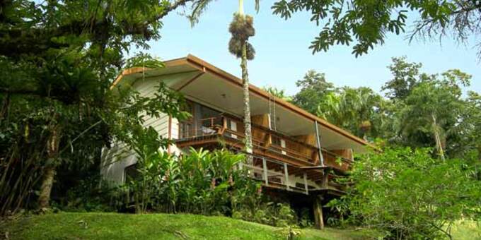 <p>Villa Decary, located in the serene town of Nuevo Arenal on Lake Arenal's shores, offers charming accommodations with warm hospitality and stunning lake and rainforest views. Guests can choose from cozy rooms or private villas, all designed for comfort. The lush gardens attract various bird species, making it a birdwatcher's paradise. The standout terrace is perfect for birdwatching and taking in the scenery. Nearby Lake Arenal offers water activities, and Arenal Volcano National Park is a short drive away. Yoga classes can be arranged amidst colorful bird sightings, including toucans. Hosts Suzy and Dan ensure a memorable stay in this tranquil Costa Rican haven.</p>