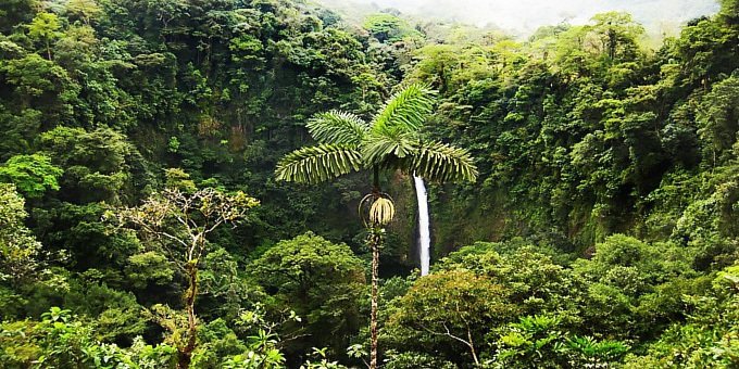 Consistently rated as one of Arenal's top attractions, La Fortuna Waterfalls is an impressive and beautiful site to see.