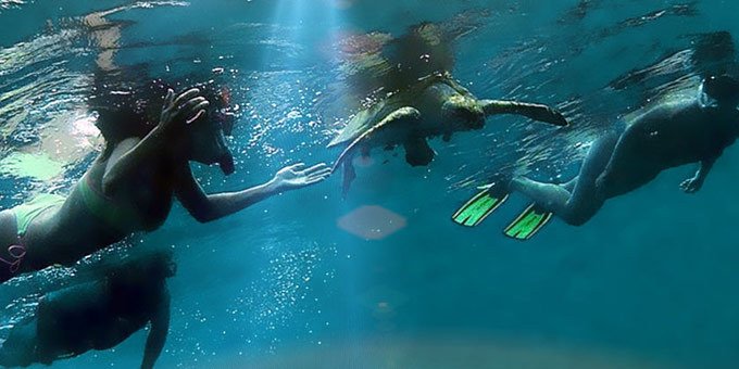 Carate Wildlife Refuge is located on the Osa Peninsula, in the South Pacific region of Costa Rica.