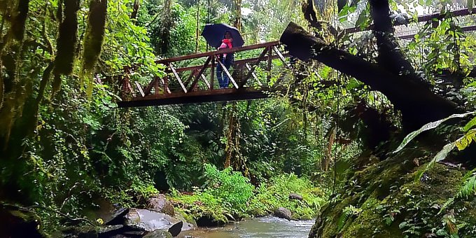 Surrounded by rainforest and cloud forest, the weather in the Heredia-Poas area is fairly predictable.
