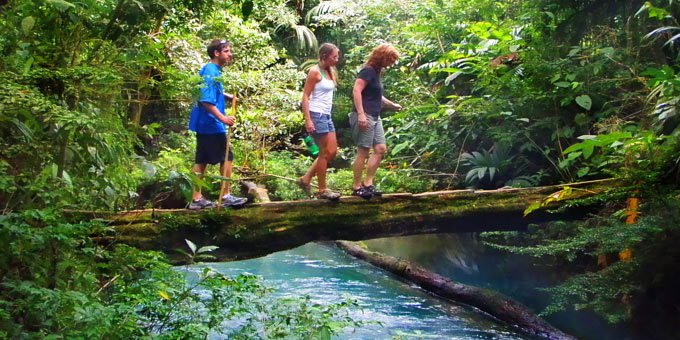 Lace up your boots and get ready to explore the incredible diversity of Costa Rica's hiking trails! From leisurely strolls along coastal paths to challenging ascents up towering peaks like Cerro Chirripó, this vibrant country offers a trekking adventure for every level.