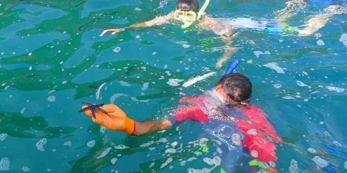 Beneath Costa Rica's vibrant landscapes lies a hidden world of underwater wonders waiting to be explored. While not as widely known for its snorkeling as other destinations, this diverse country offers unique encounters with colorful reefs, fascinating marine life, and even majestic sea turtles. So, dive in and discover the surprising beauty that lies beneath the surface!
