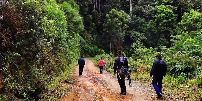 When it’s time to get back to nature, San Gerardo delivers. Enjoy the refreshing mountain air as you hike, bird watch or just take in the amazing natural surroundings of this peaceful place.